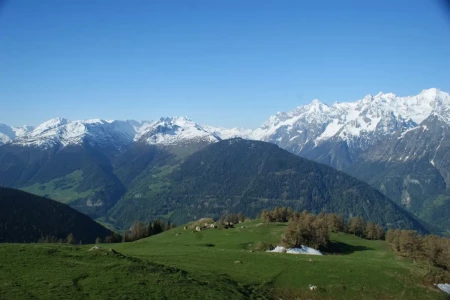 Une vue dégagée sur le Montatue depuis l'alpage des Plannards en Valais Commeire8 Web