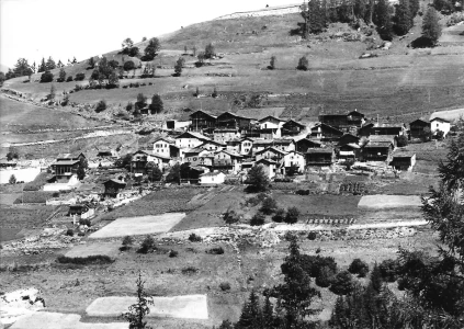 Commeire en noir et blanc CommeireV_8